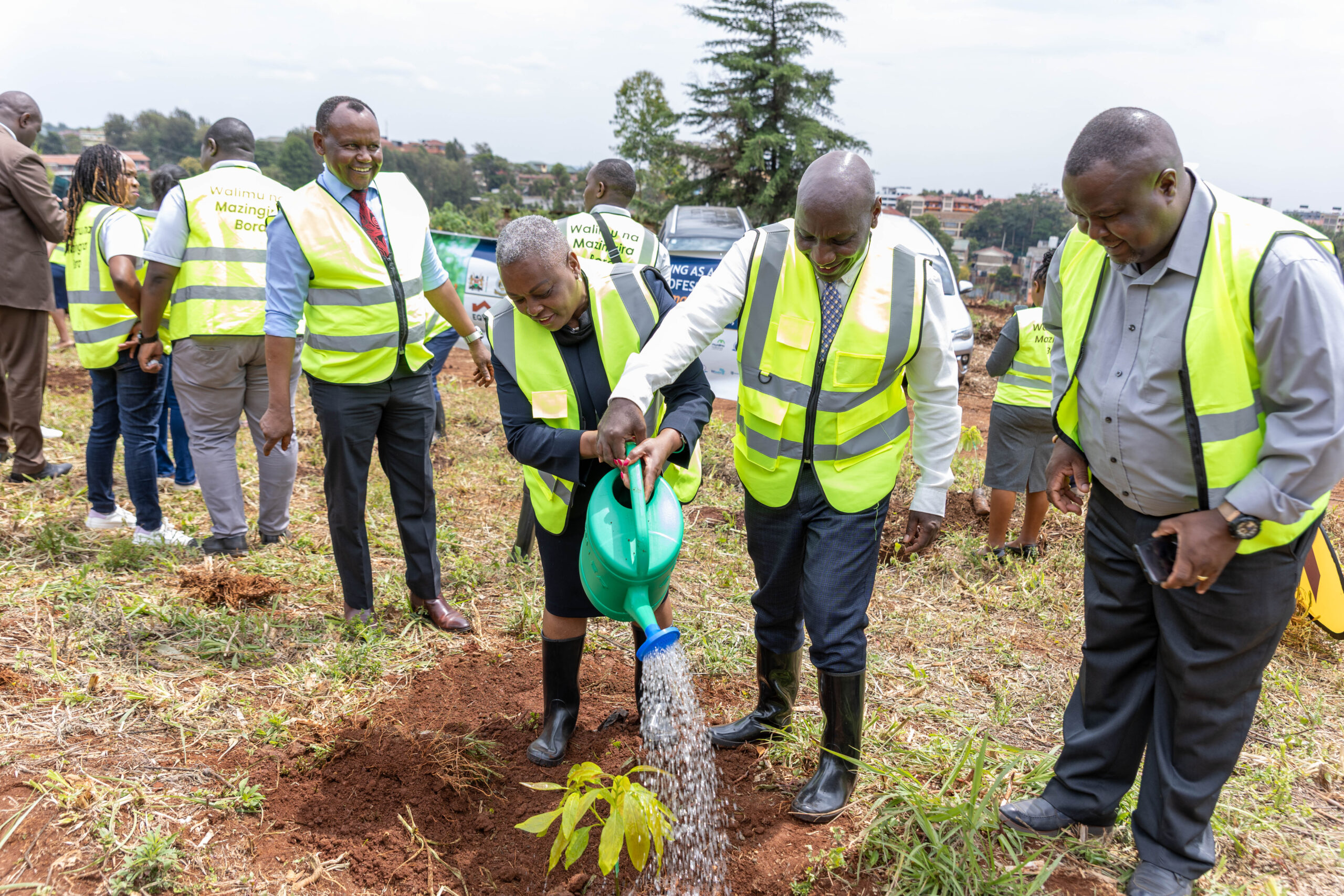 Championing Sustainability Through Tree Planting Ahead of Teachers Day ...